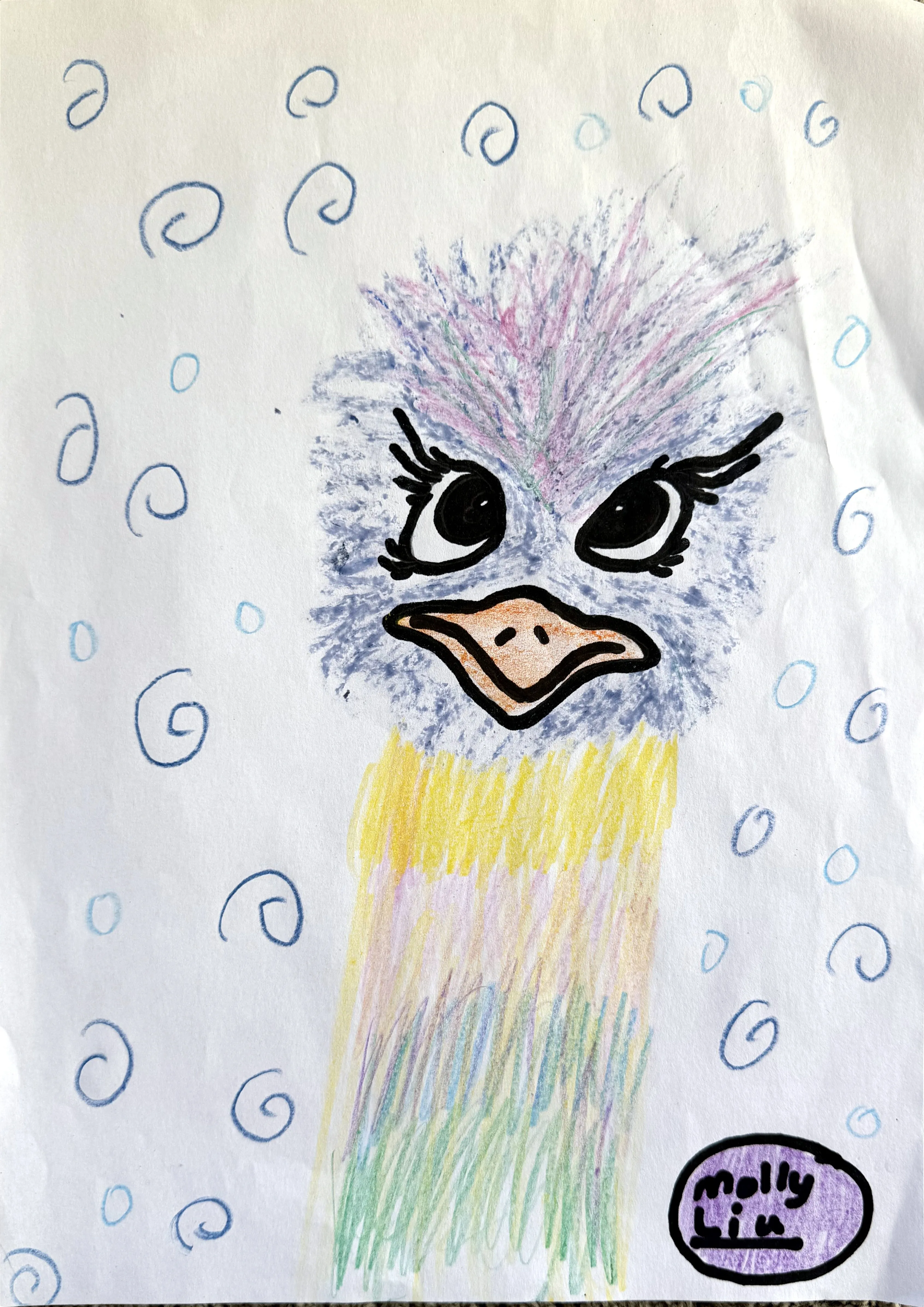A cartoon ostrich face with dramatic eyelashes, colourful feathers, and a peach beak, surrounded by blue spiral doodles on a white background, signed by the artist Molly Liu.