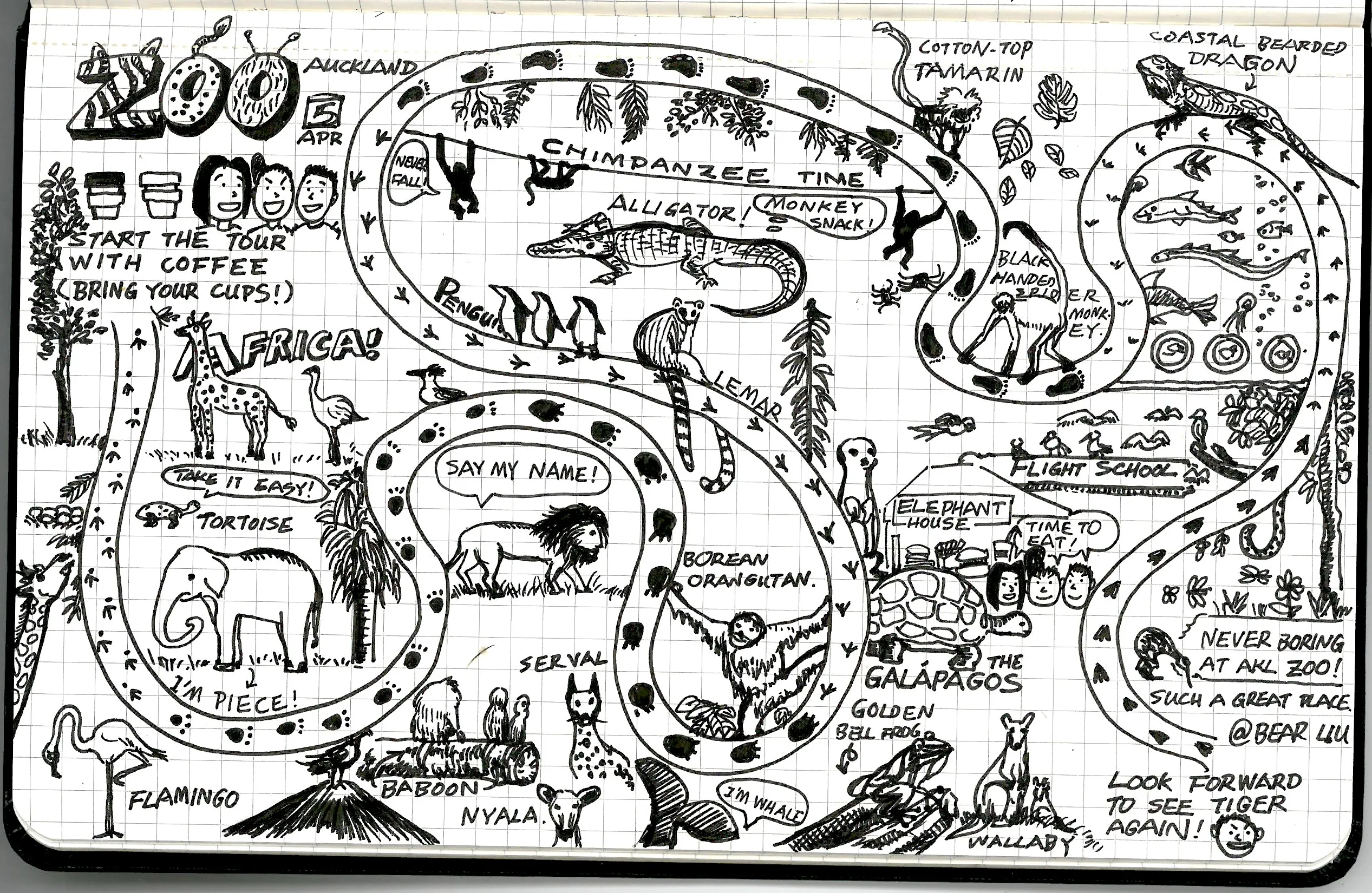 A hand-drawn sketchnote map of a visit to Auckland Zoo in April, featuring illustrated animals, enclosure names, footprint trails, and personal captions throughout.